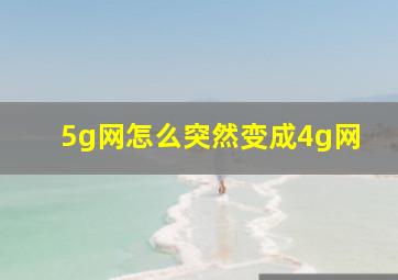 5g网怎么突然变成4g网