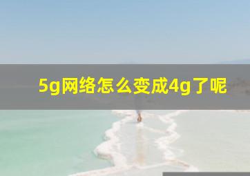 5g网络怎么变成4g了呢