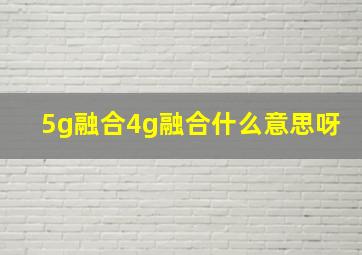 5g融合4g融合什么意思呀