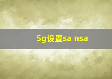 5g设置sa+nsa