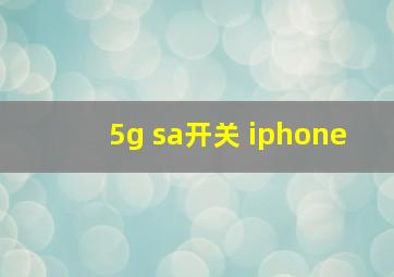 5g sa开关 iphone