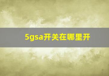 5gsa开关在哪里开