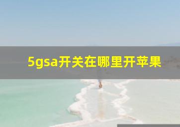 5gsa开关在哪里开苹果