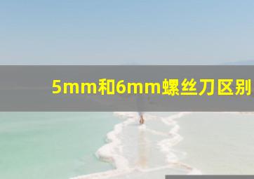 5mm和6mm螺丝刀区别