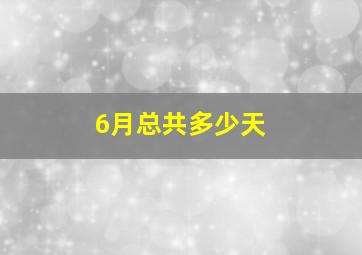 6月总共多少天