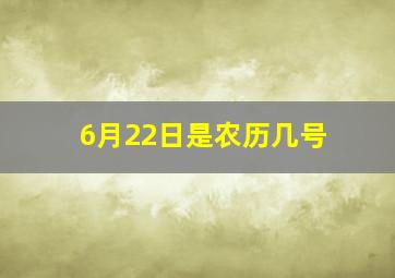 6月22日是农历几号