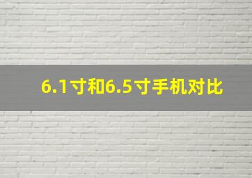 6.1寸和6.5寸手机对比