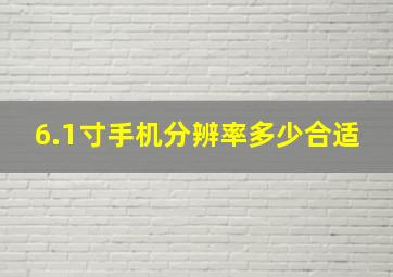 6.1寸手机分辨率多少合适