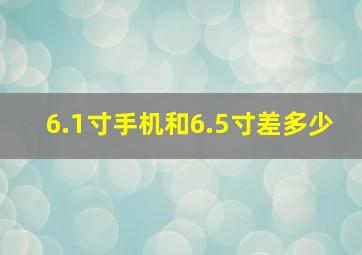 6.1寸手机和6.5寸差多少