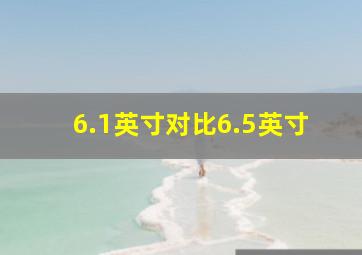 6.1英寸对比6.5英寸