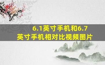 6.1英寸手机和6.7英寸手机相对比视频图片