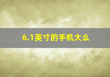 6.1英寸的手机大么