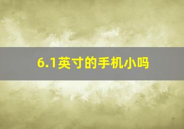 6.1英寸的手机小吗