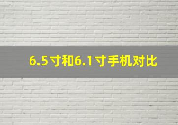 6.5寸和6.1寸手机对比