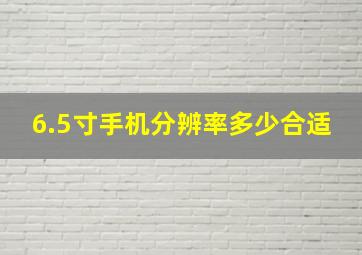 6.5寸手机分辨率多少合适