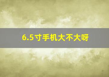 6.5寸手机大不大呀