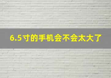 6.5寸的手机会不会太大了