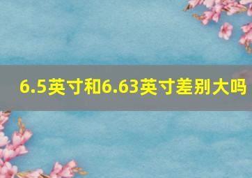 6.5英寸和6.63英寸差别大吗