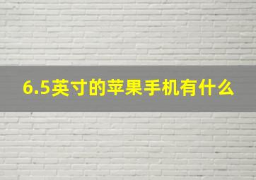 6.5英寸的苹果手机有什么