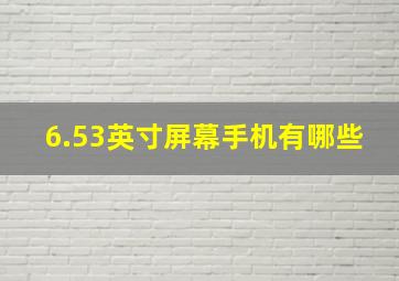 6.53英寸屏幕手机有哪些