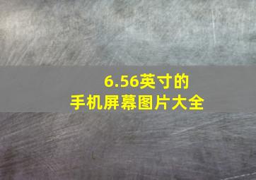 6.56英寸的手机屏幕图片大全