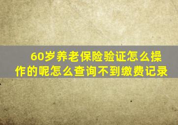 60岁养老保险验证怎么操作的呢怎么查询不到缴费记录