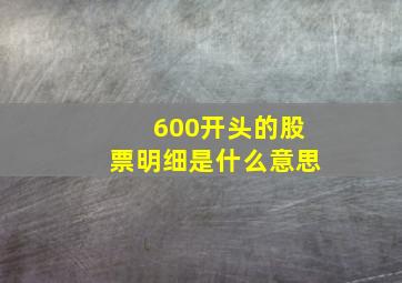 600开头的股票明细是什么意思