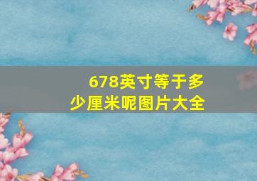 678英寸等于多少厘米呢图片大全