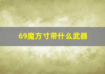 69魔方寸带什么武器