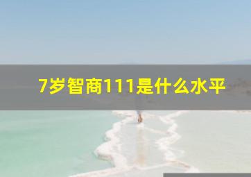 7岁智商111是什么水平