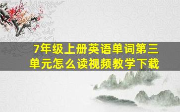 7年级上册英语单词第三单元怎么读视频教学下载