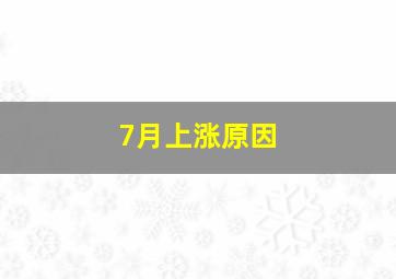 7月上涨原因