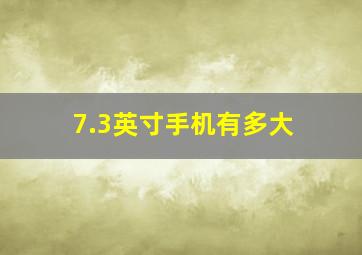 7.3英寸手机有多大