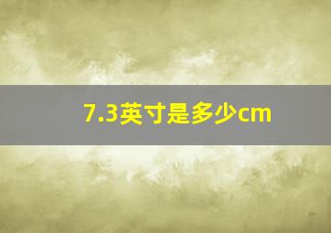 7.3英寸是多少cm