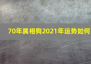 70年属相狗2021年运势如何