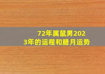 72年属鼠男2023年的运程和腊月运势