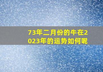 73年二月份的牛在2023年的运势如何呢