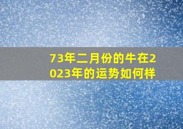 73年二月份的牛在2023年的运势如何样