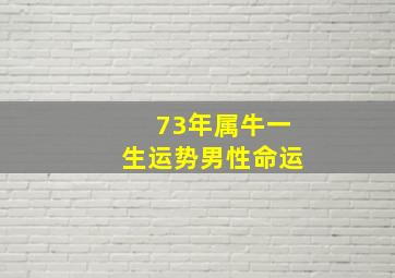 73年属牛一生运势男性命运