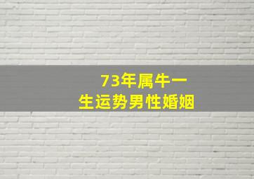 73年属牛一生运势男性婚姻