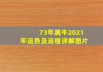 73年属牛2021年运势及运程详解图片