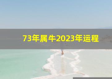 73年属牛2023年运程