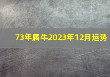 73年属牛2023年12月运势