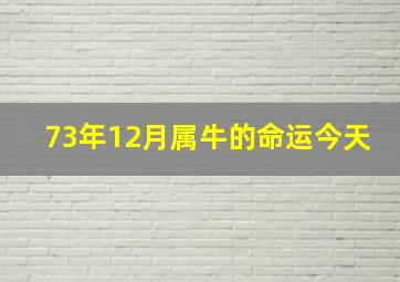 73年12月属牛的命运今天