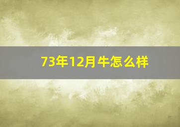 73年12月牛怎么样