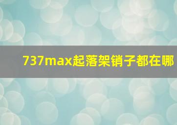 737max起落架销子都在哪