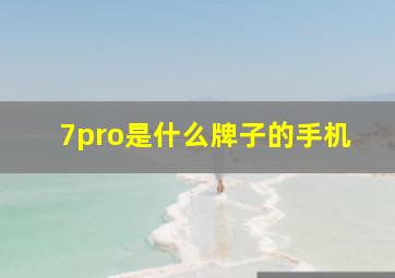 7pro是什么牌子的手机