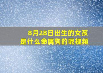 8月28日出生的女孩是什么命属狗的呢视频