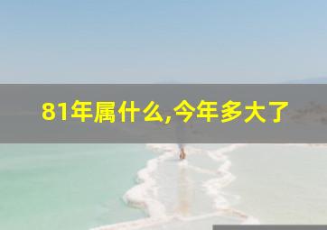 81年属什么,今年多大了