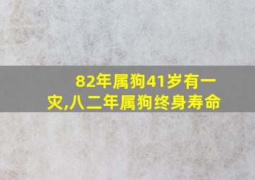 82年属狗41岁有一灾,八二年属狗终身寿命